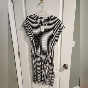NWT J. Crew T Shirt Dress